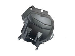 CARBONWORLD cylinder cover Carbon for Ducati Multistrada V4