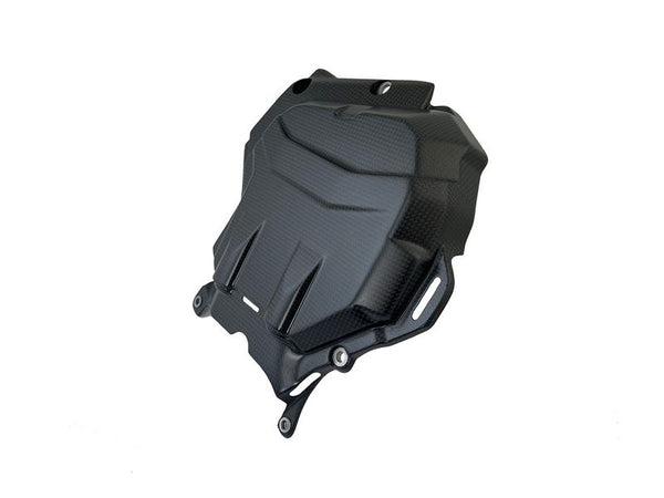 cylinder cover Carbon for Ducati Multistrada V4 image 2