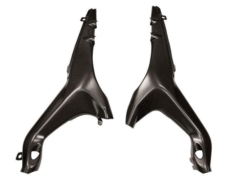 tail panels carbon Ducati Streetfighter V4
