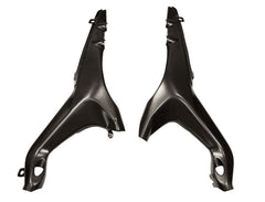 CARBONWORLD tail panels carbon Ducati Streetfighter V4