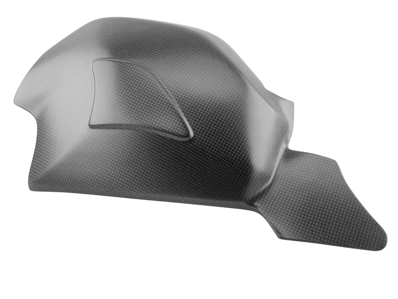 swingarm cover carbon Ducati Panigale V4