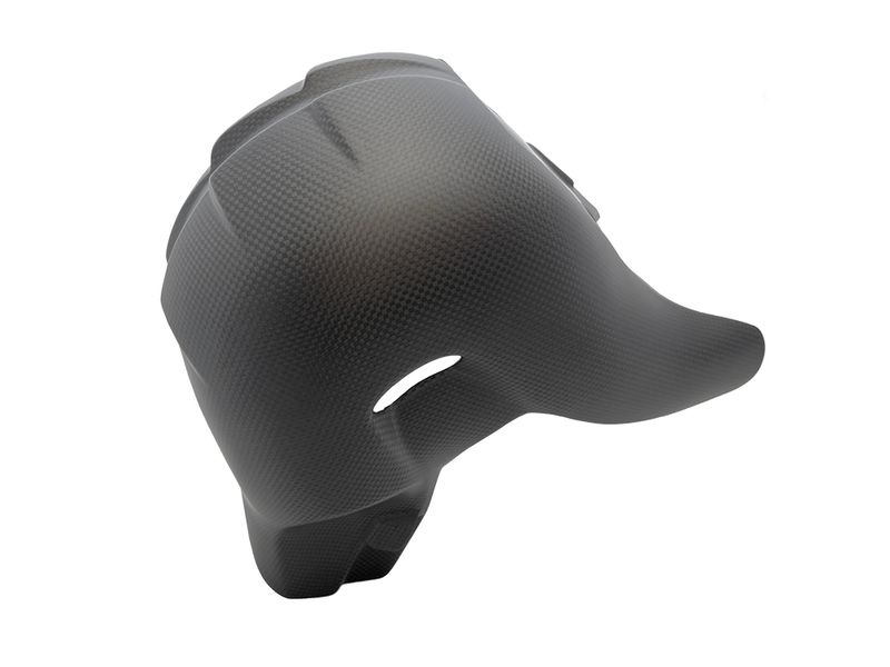 heatguard euro 5 carbon for Ducati Panigale V4 Streetfighter V4