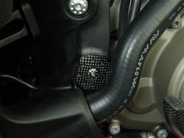 frame plugs front carbonfiber glossy Ducati Panigale V4, Streetfighter V4 image 3