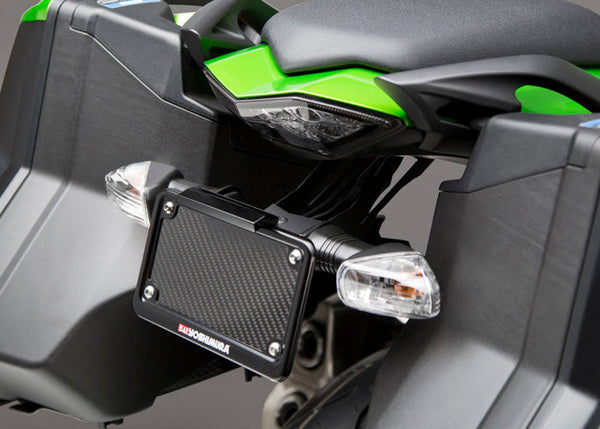 NINJA/VERSYS/NINJA 1000/SX Fender Eliminator Kit