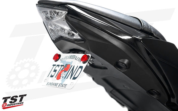 TST Fender Eliminator for Kawasaki Ninja 650 2017+ / Z650 2017-2025