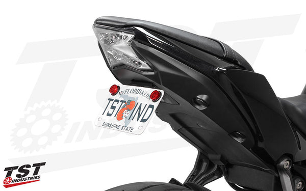 TST Fender Eliminator for Kawasaki Ninja 650 2017+ / Z650 2017-2025