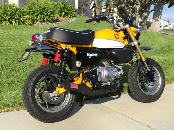 MONKEY 19-26 Straight Cyclone Full Exhaust