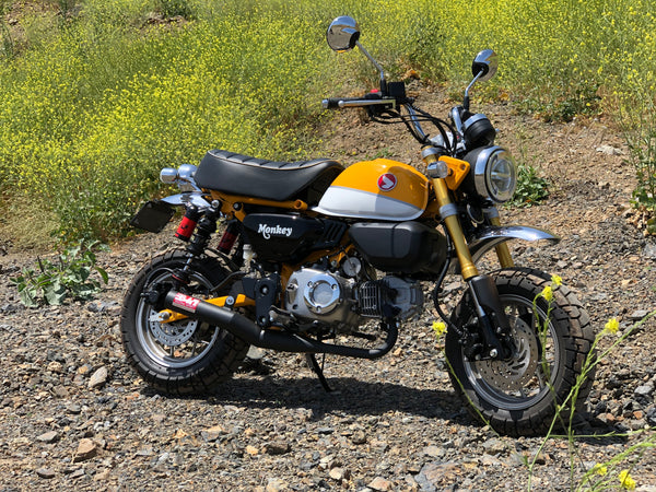MONKEY 19-26 Straight Cyclone Full Exhaust