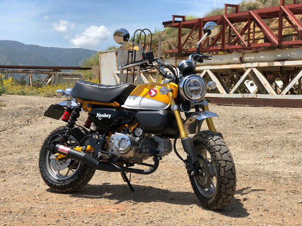 MONKEY 19-26 Straight Cyclone Full Exhaust