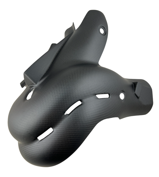 heatguard carbon for Ducati Panigale V4, Streetfighter V4