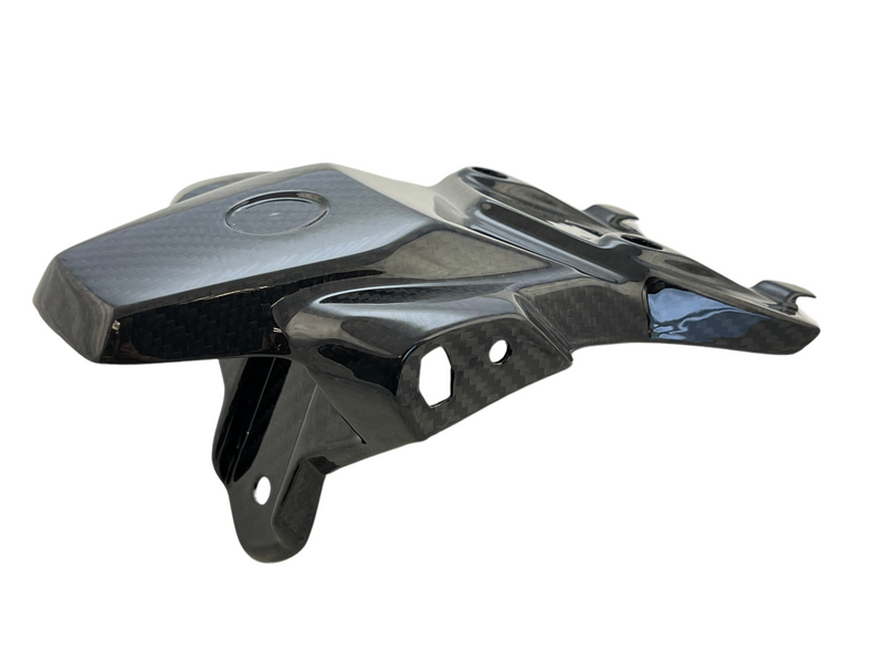 number plate holder carbon for BMW S 1000 RR 2023-