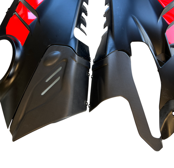 exhaust cover carbon for Ducati Panigale V4 image 7