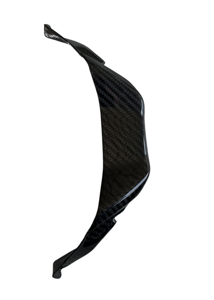 frontbracket carbon for BMW S 1000 RR 2023-