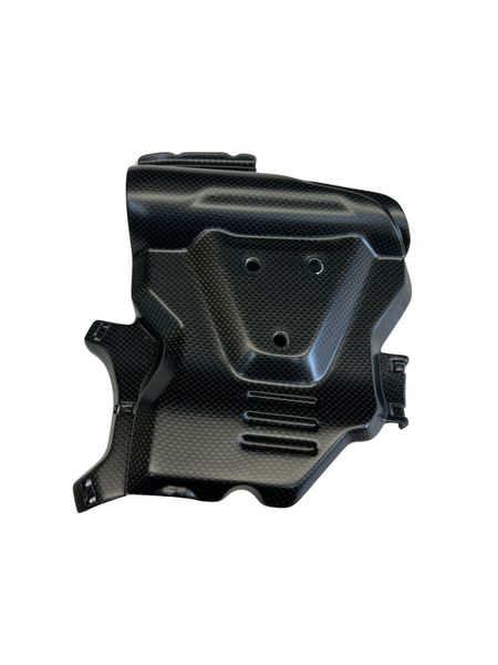 cylinder cover left carbon fiber Ducati 698 Mono image 2
