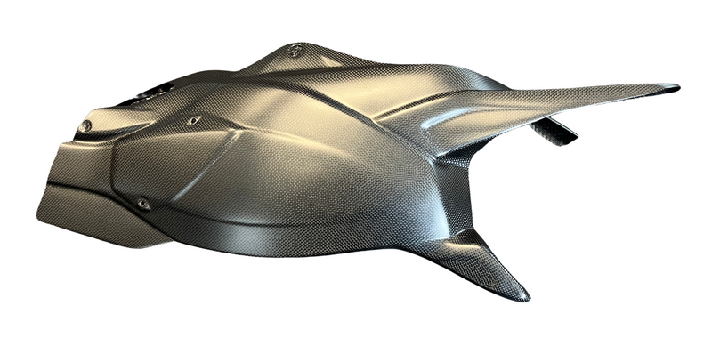 swing arm cover carbon for Ducati Multistrada RS Pikes Peak