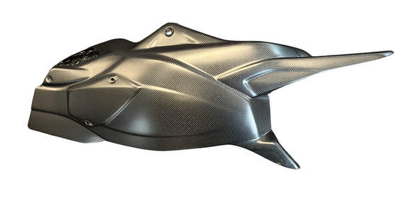 swing arm cover carbon for Ducati Multistrada RS Pikes Peak image 2