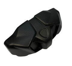CARBONWORLD instrument cover carbonfiber Ducati Streetfighter V4 2025-