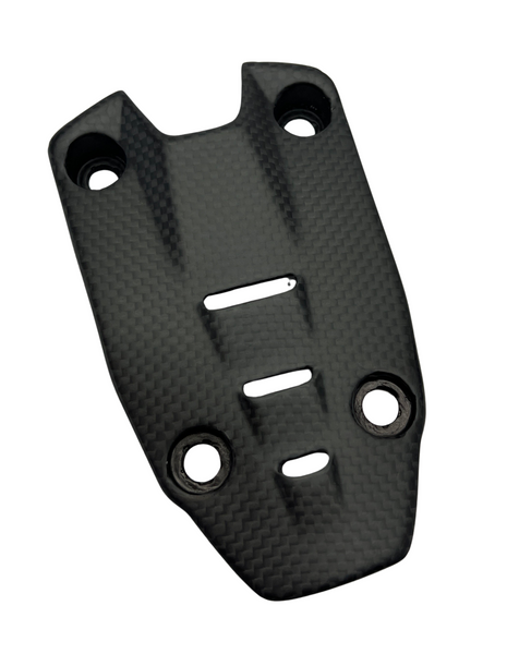 number plate cover carbon for Ducati Panigale Streetfighter V4 V2 2025-