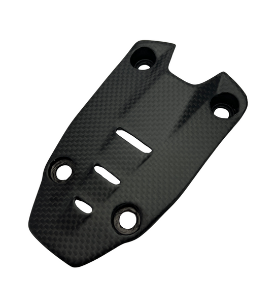 number plate cover carbon for Ducati Panigale Streetfighter V4 V2 2025- image 2