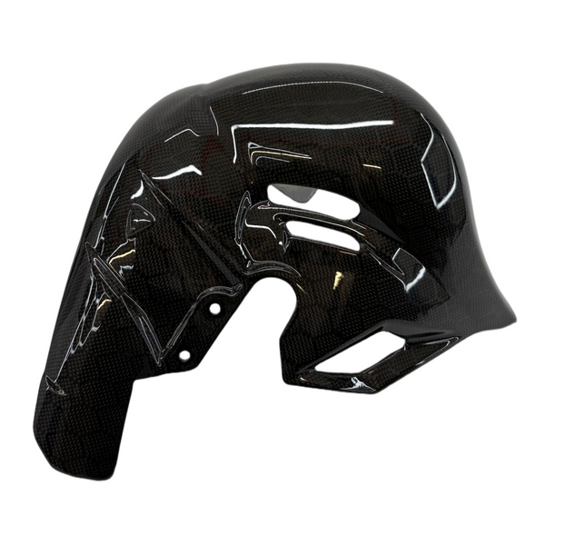 heatguard carbonfiber honeycomb Ducati Panigale Streetfighter V4 2025-