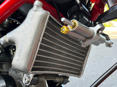 Ducati GT1000 & Sport1000 S & Paul Smart Steering Damper Mount for OHLINS damper