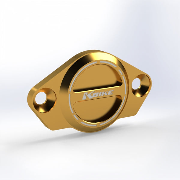 KBIKE Timing inspection cover CF01