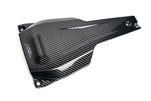 CMT Compositi Carbon Tail Guard | Ducati Hypermotard 698 Mono / Ducati Hypermotard 698 Mono RVE | DH0033