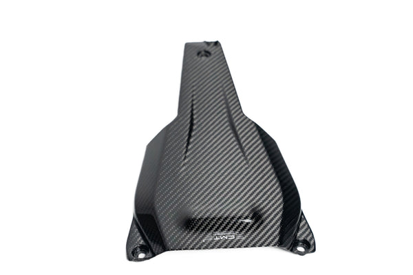 CMT Compositi Carbon Tail Guard | Ducati Hypermotard 698 Mono / Ducati Hypermotard 698 Mono RVE | DH0033