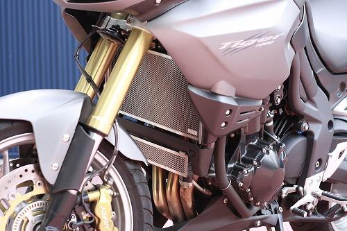 AELLA Radiator Guard AE-56016