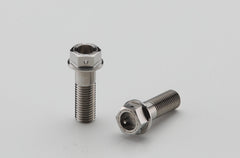 AELLA Titanium caliper bolt / rear caliper mount (M10 / L30 P1.25)
