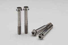 AELLA Titanium caliper bolt for Kawasaki (M10 x L73 P1.25)