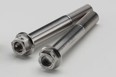 AELLA Titanium caliper bolts M10 x L73 P1.25 (Kawasaki ZX-25R)