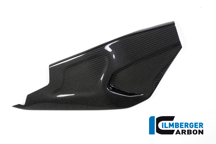 Ilmberger Carbon | Swing arm cover right side BMW HP4 RACE