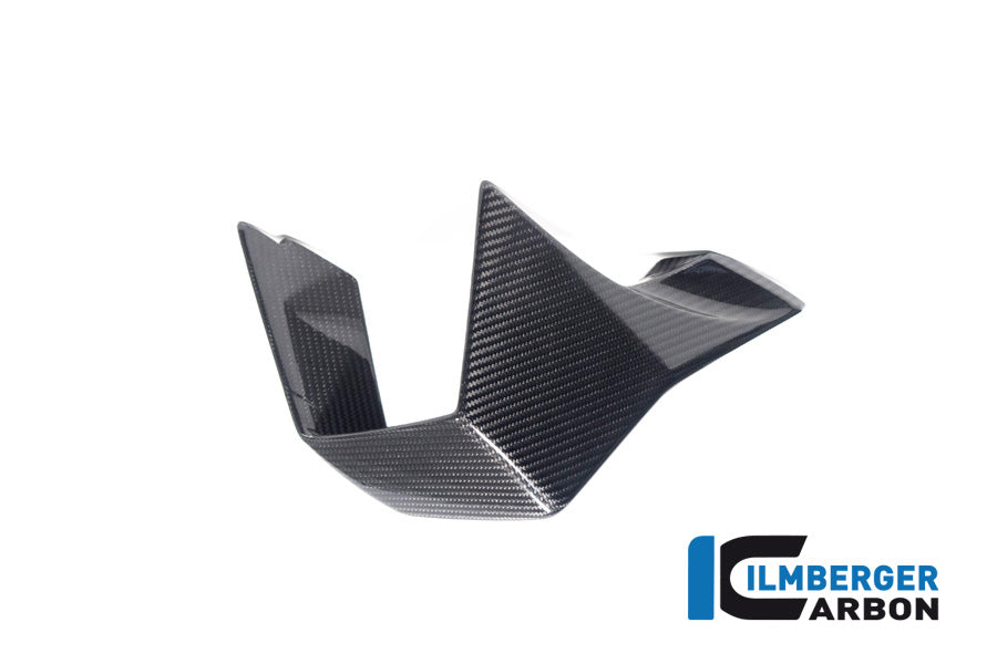 Ilmberger Carbon | Winglet right side BMW M 1000 RR MY from 2023 — BMW M1000RR Strasse ab2023