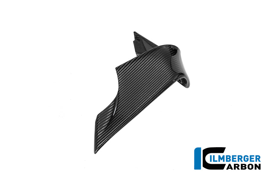 Ilmberger Carbon | Left winglet BMW M 1000 RR 2025 — BMW M1000RR Strasse ab2025