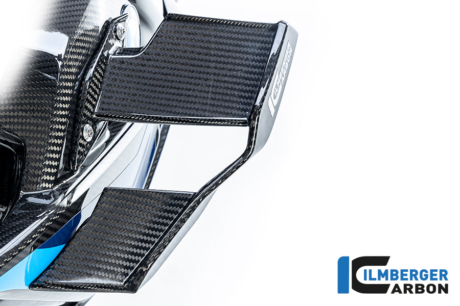 Ilmberger Carbon | Winglet left BMW M1000R 2023 — BMW M1000R ab2023