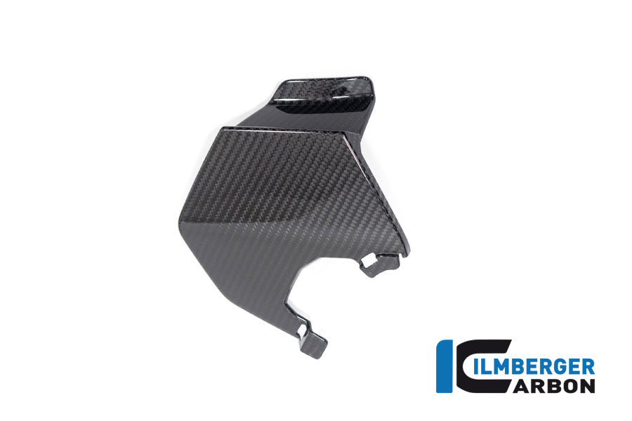 Ilmberger Carbon | Upper wing right BMW M 1000 XR 2024 — BMW M 1000 XR from 2024