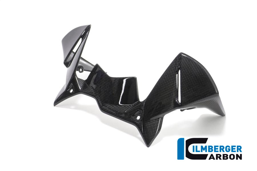 Ilmberger Carbon | Windprotector on the instruments BMW R 1200 GS´17 — BMW R 1200 GS LC 2017