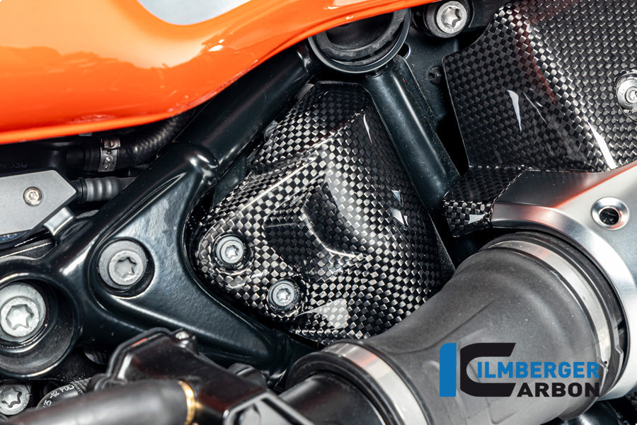 Ilmberger Carbon | Tank breather cover carbon glossy BMW R12 NineT 2024 — BMW R 12 NineT Carbon