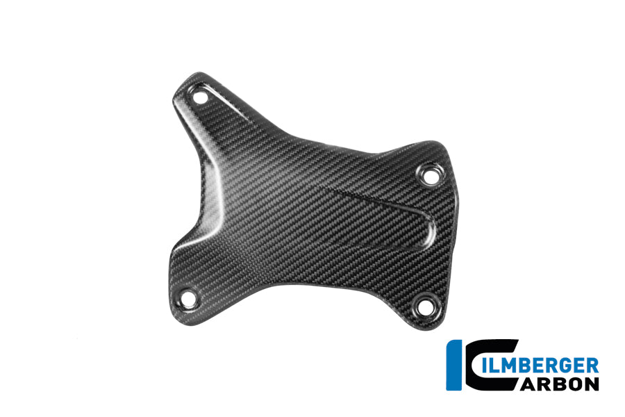 Ilmberger Carbon | Crash Bar Cover Right Carbon Matte R 1300 GS Adventure — BMW R 1300 ab2023 Carbon