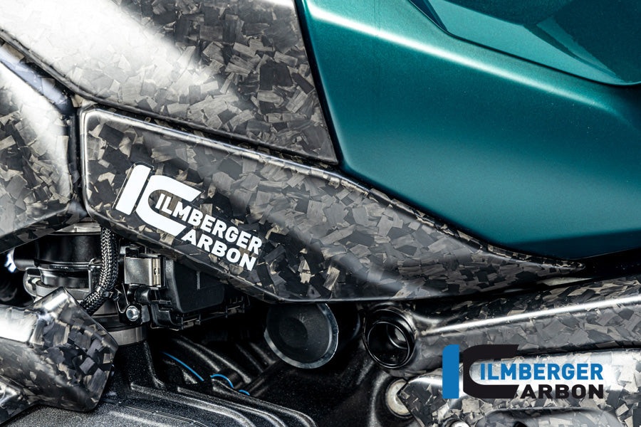 Ilmberger Carbon | Lower tank cover left BDC matt BMW R 1300 GS from 20 — BMW R 1300 ab2023 Carbon
