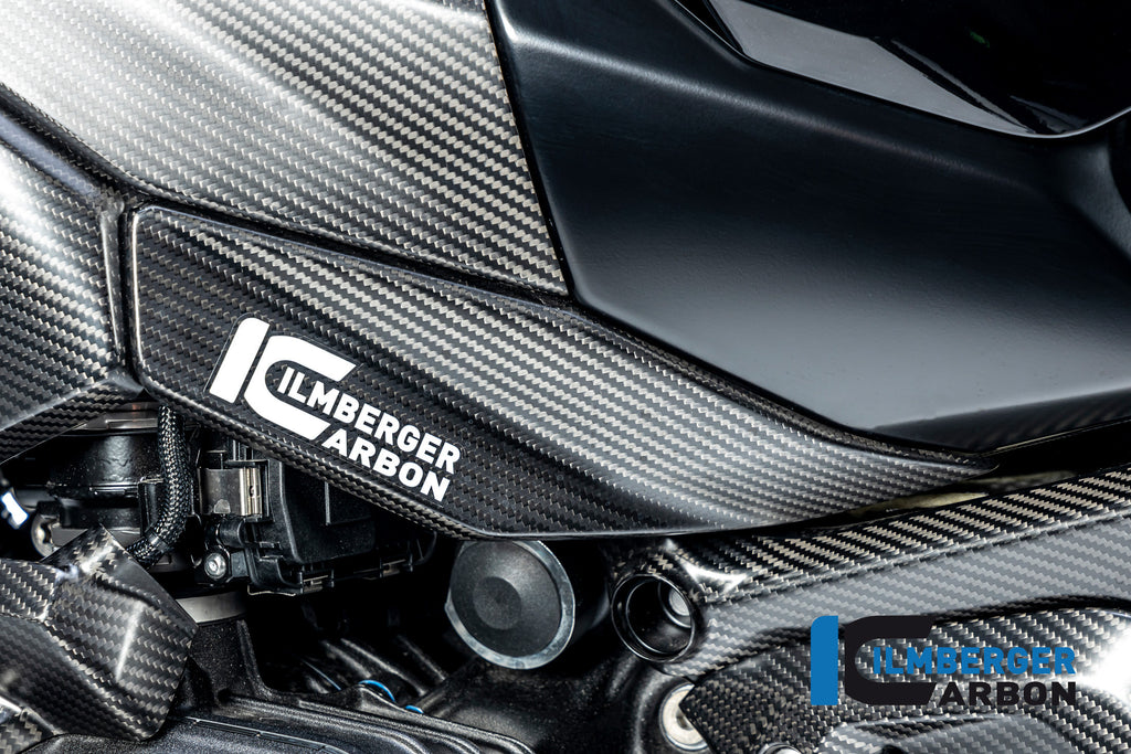 Ilmberger Carbon | Lower tank cover left matt BMW R 1300 GS from 20 — BMW R 1300 ab2023 Carbon