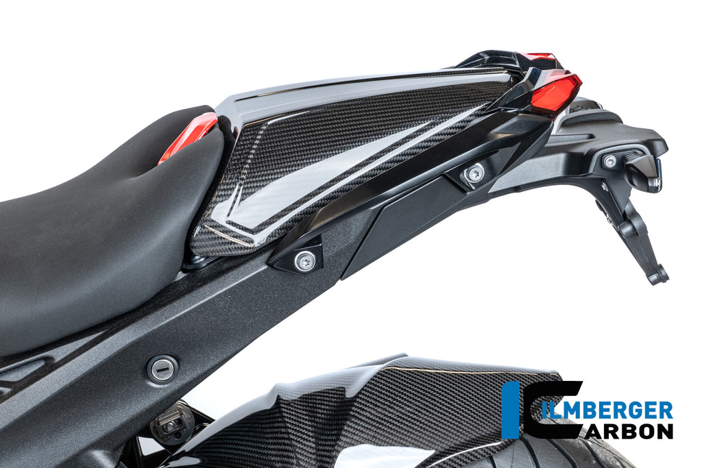 Ilmberger Carbon | Pillion seat cover carbon glossy BMW R 1300 R — BMW R1300R