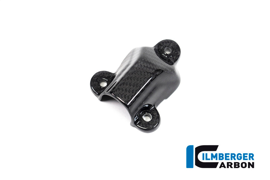 Ilmberger Carbon | Water pump Cover BMW S 1000 RR MY from 2019 — BMW S1000RR Strasse 2019-2022