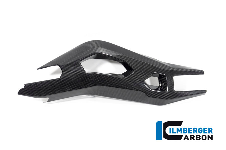 Ilmberger Carbon | Swing Arm Cover left side BMW S 1000 XR from MY 2020 — BMW S 1000 XR from 2020 bis2023