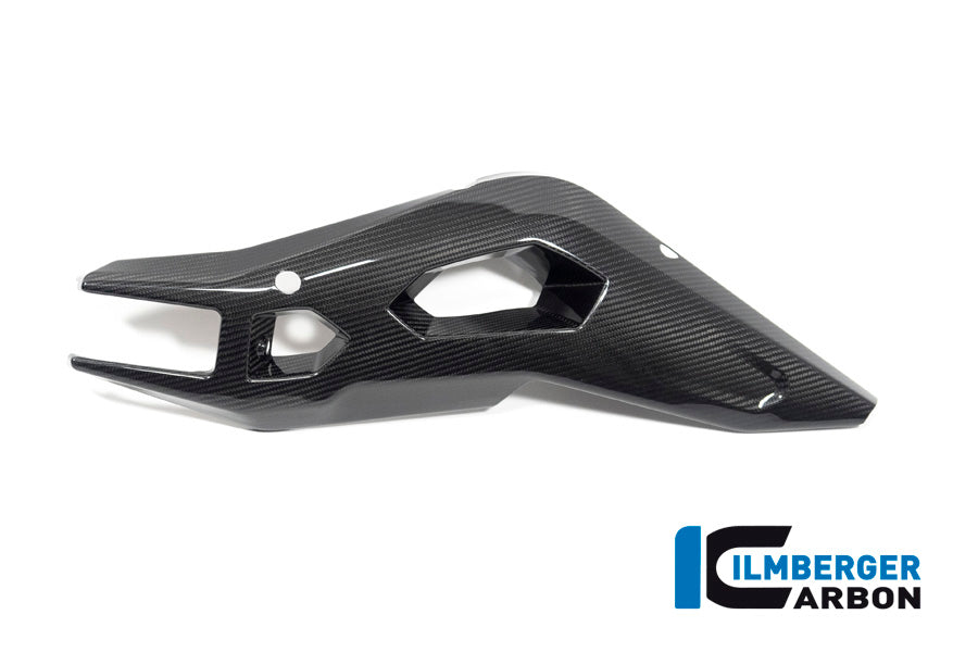 Ilmberger Carbon | Swing Arm Cover right side BMW S 1000 XR from MY 2020 — BMW S 1000 XR from 2020 bis2023