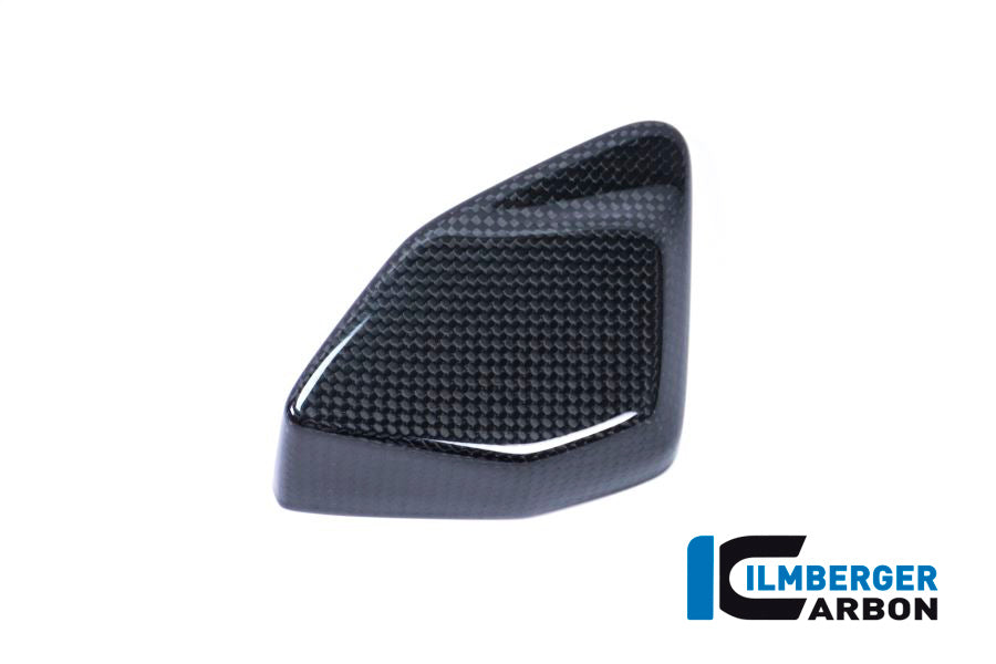 Ilmberger Carbon | ESA Box Cover BMW R 1200 GS — BMW R 1200 GS LC 2017