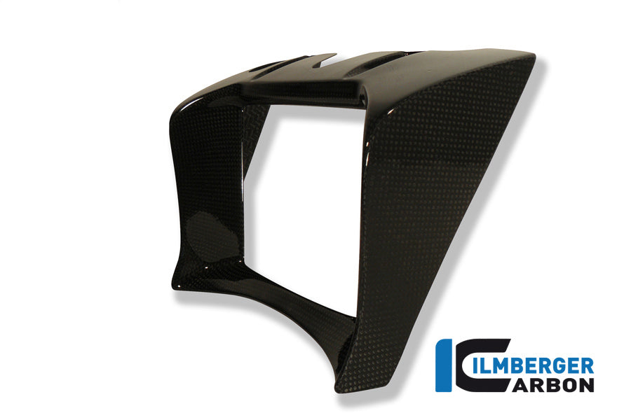 Ilmberger Carbon | Oil cooler cover carbon — BMW R 1200 R 2011-2014