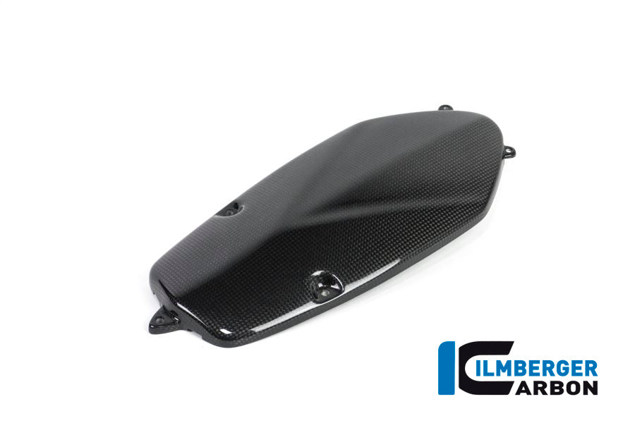 Ilmberger Carbon | Alternator Cover Carbon — BMW HP2 Megamoto 2008-2013