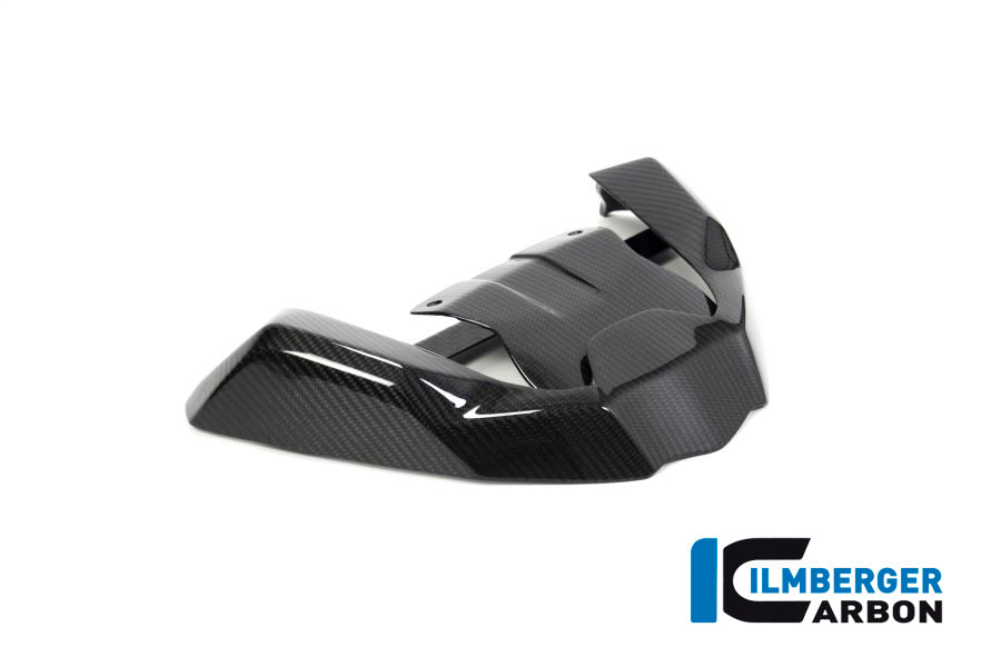 Ilmberger Carbon | Front beak front extension BMW R 1250 GS — BMW R1250 GS from 2019